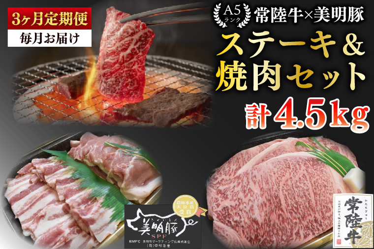 【3ヶ月定期便】【常陸牛 A5ランク・美明豚ステーキ焼肉セット】常陸牛サーロイン900ｇ（300ｇ×３枚）＋美明豚600ｇ（ロース300ｇ・ばら300ｇ）【冷凍 国産牛 和牛 牛肉 豚肉 ブランド豚 茨城県 水戸市 食べ比べ セット商品 国産 BBQ】（EK-36_1）