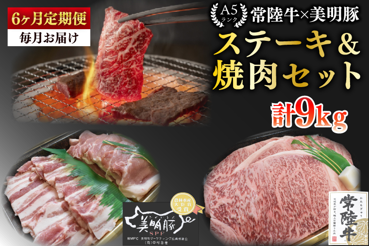 【6ヶ月定期便】【常陸牛 A5ランク・美明豚ステーキ焼肉セット】常陸牛サーロイン900ｇ（300ｇ×３枚）＋美明豚600ｇ（ロース300ｇ・ばら300ｇ）【冷凍 国産牛 和牛 牛肉 豚肉 ブランド豚 茨城県 水戸市 食べ比べ セット商品 国産 BBQ】（EK-36_2）