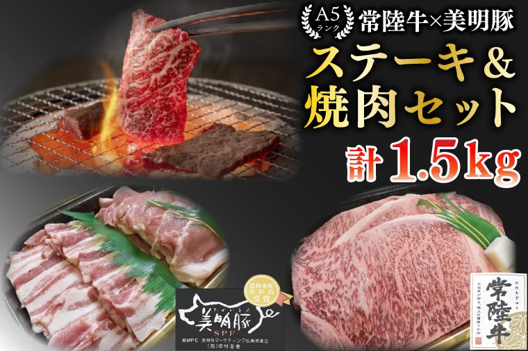 【常陸牛 A5ランク・美明豚ステーキ焼肉セット】常陸牛サーロイン900g（300g×３枚）＋美明豚600g（ロース300g・ばら300g） 冷凍 国産牛 和牛 牛肉 豚肉　ブランド豚 茨城県 水戸市 食べ比べ セット商品 国産 BBQ  老舗精肉店 EK-36