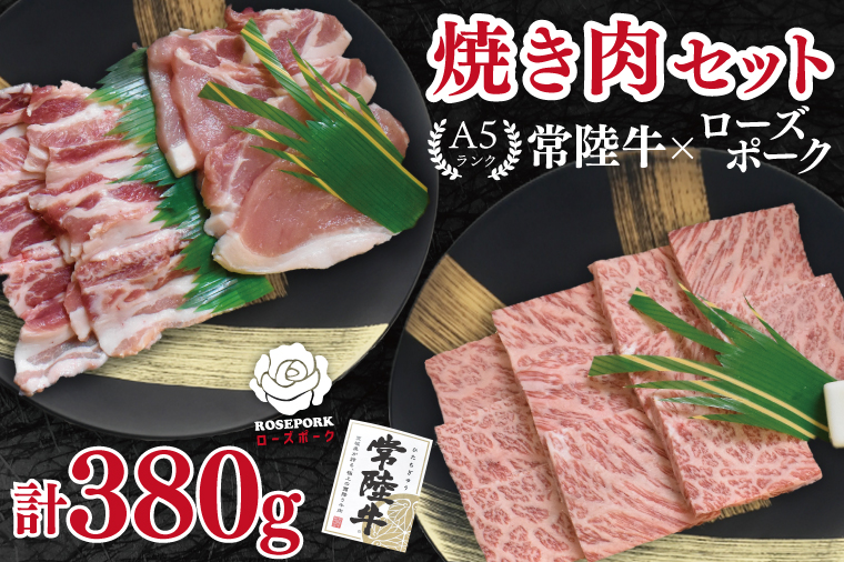 【常陸牛 A5ランク・ローズポーク焼肉セット】常陸牛カルビ180g＋ローズポーク200g（ロース100g・ばら100g） 冷凍 国産牛 和牛 牛肉 豚肉　ブランド豚 茨城県 水戸市 食べ比べ セット商品 国産 BBQ 10000円以内 老舗精肉店 EK-47
