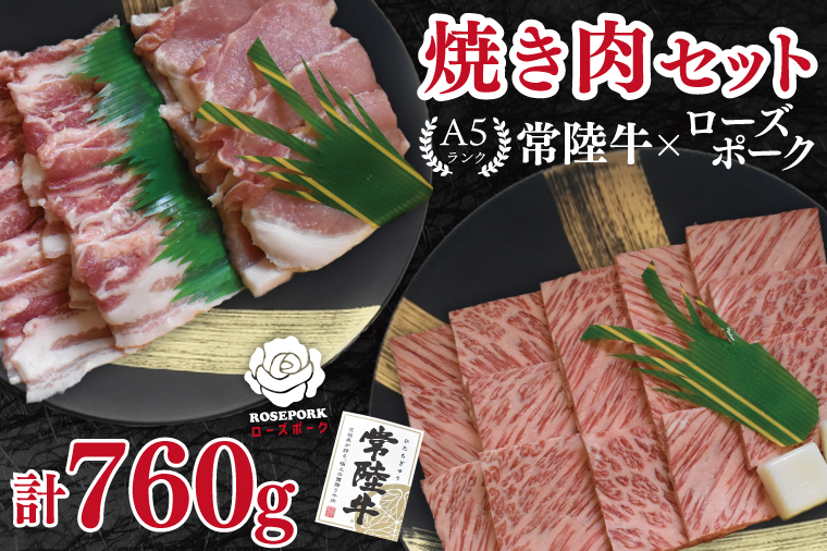 【常陸牛 A5ランク・ローズポーク焼肉セット】常陸牛カルビ360g＋ローズポーク400g（ロース200g・ばら200g） 冷凍 国産牛 和牛 牛肉 豚肉　ブランド豚 茨城県 水戸市 食べ比べ セット商品 国産 BBQ 20000円以内 老舗精肉店 EK-48