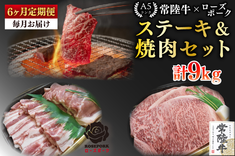 【6ヶ月定期便】【常陸牛 A5ランク・ローズポークステーキ焼肉セット】常陸牛サーロイン900ｇ（300ｇ×３枚）＋ローズポーク600ｇ（ロース300ｇ・ばら300ｇ） 冷凍 国産牛 和牛 牛肉 豚肉　ブランド豚 茨城県 水戸市 食べ比べ セット商品 国産 BBQ  老舗精肉店 (EK-61_2)
