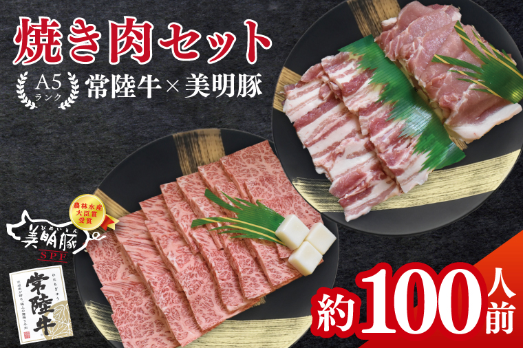 常陸牛A5ランク・美明豚焼肉セット　合計約100人前！｜焼肉 BBQ カルビ ロース バラ 国産牛 和牛 牛肉 豚肉 茨城県 水戸市  国産 老舗精肉店（EK-88）
