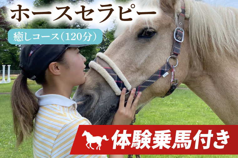 ホースセラピー・癒しコース（120分）【乗馬 馬 ポニー サラブレッド ブラッシング リラクゼーション 水戸市 茨城県】（EY-1）