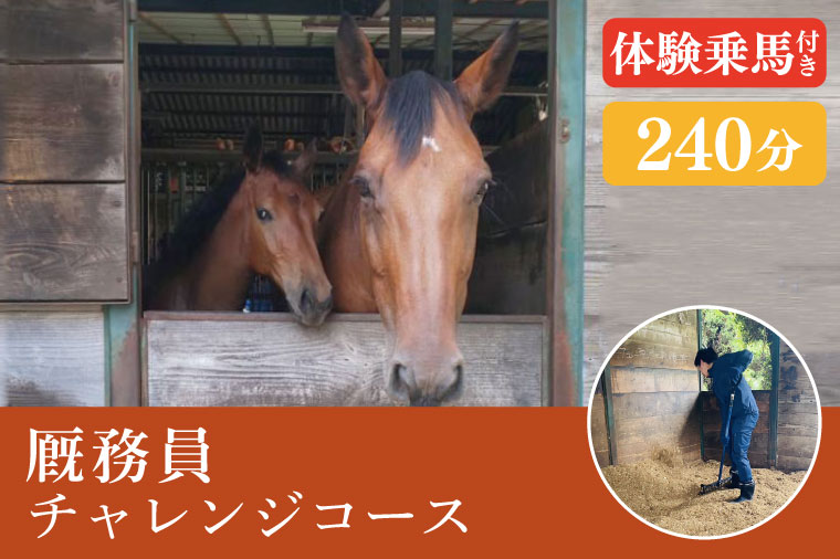 厩務員チャレンジコース（240分）【乗馬 馬 体験 水戸市 茨城県】（EY-2）