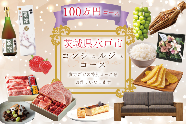 【提案型】コンシェルジュコース（100万円）(GT-9)