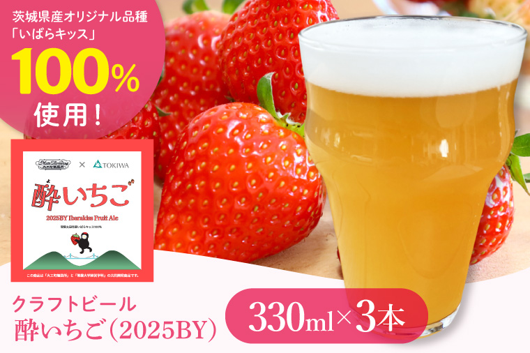 【数量限定】【ぬりや】クラフトビール　酔いちご（2025BY）330ml3本セット【ビール お酒 アルコール 苺 いちご いばらキッス 麦芽 ホップ 常磐大学 水戸市 茨城県】(GW-13)