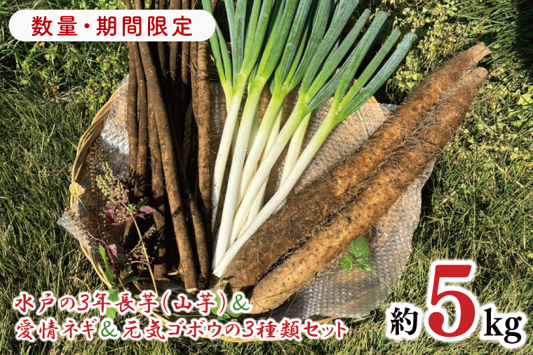 【数量限定】水戸の３年長芋（山芋）＆愛情ネギ＆元気ゴボウの３種類セット【茨城県産 野菜 やさい 野菜セット 水戸野菜 ごぼう 牛蒡 ながいも やまいも ねぎ 葱 国産 新鮮 産地直送 農家直送 生産者】（HD-2）