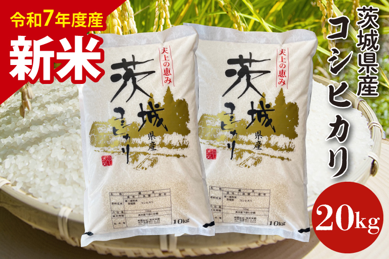 【数量限定】【令和7年産　新米】茨城県産コシヒカリ 20kg 【お米 ごはん こしひかり 老舗 米屋 おにぎり ごはん 茨城県 水戸市 20キロ】(HQ-203)