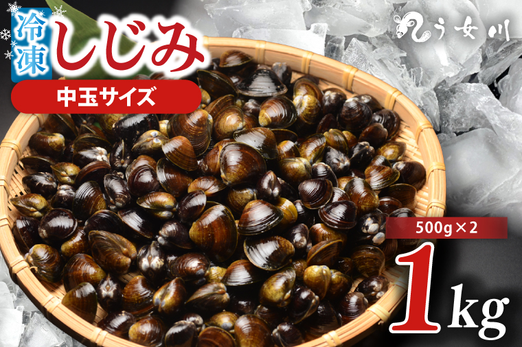 しじみ 冷凍 中玉 1kg（500ｇ×2）砂抜き済み 涸沼川 う女川【シジミ オルニチン ミネラル ビタミンB12 出汁 肝臓 味噌汁 スープ 茨城県 水戸市】（IX-114）
