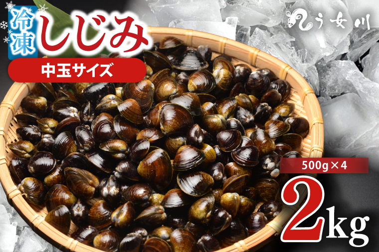 しじみ 冷凍 中玉 2kg（500ｇ×4）砂抜き済み 涸沼川 う女川【シジミ オルニチン ミネラル ビタミンB12 出汁 肝臓 味噌汁 スープ 茨城県 水戸市】（IX-116）