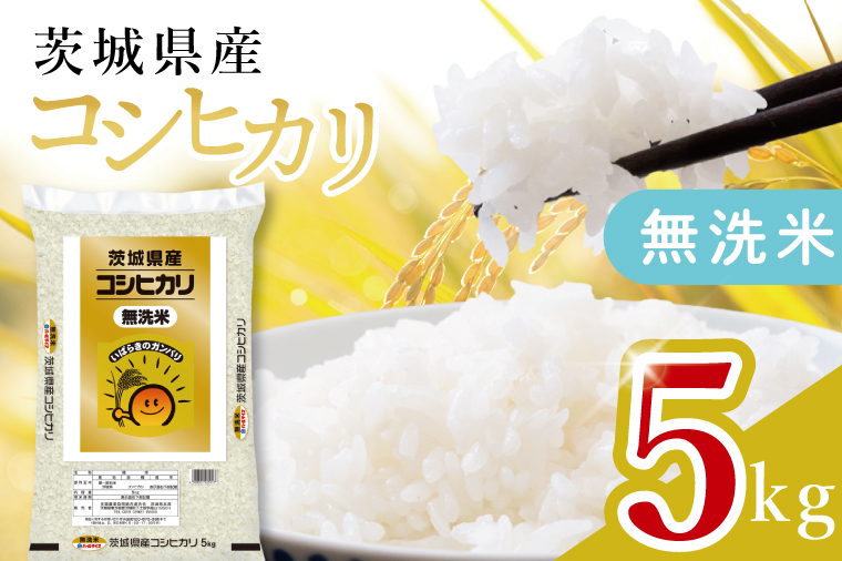  【数量限定】茨城県産 無洗米コシヒカリ5kg【お米 ごはん こしひかり おにぎり ごはん 茨城県 水戸市】(JB-18)