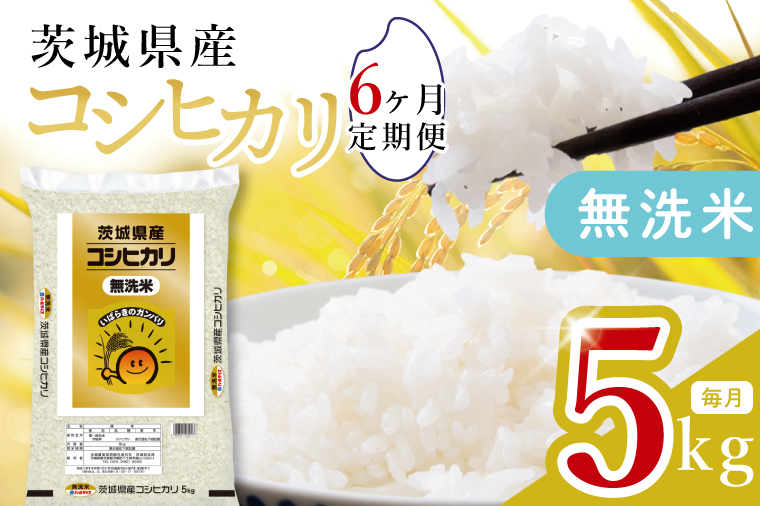 【数量限定】【6ヶ月定期便】茨城県産無洗米コシヒカリ5kg×6回 【定期便 お米 ごはん こしひかり おにぎり ごはん 茨城県 水戸市】(JB-27)