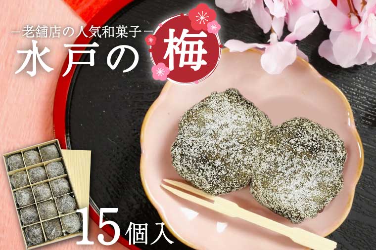 【木村屋本店】水戸銘菓 水戸の梅 15個入り 160年以上愛される老舗和菓子店【和菓子 お菓子 スイーツ デザート あんこ こし餡 求肥 お土産 老舗 水戸市 茨城県 】（JR-2）
