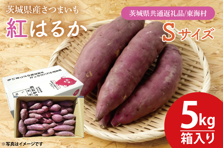 【数量限定】紅はるかSサイズ5kg箱【茨城県共通返礼品/東海村】【新さつまいも 新芋 さつまいも 芋 いも  焼き芋 焼芋 やきいも 水戸市 茨城県】（KE-15）
