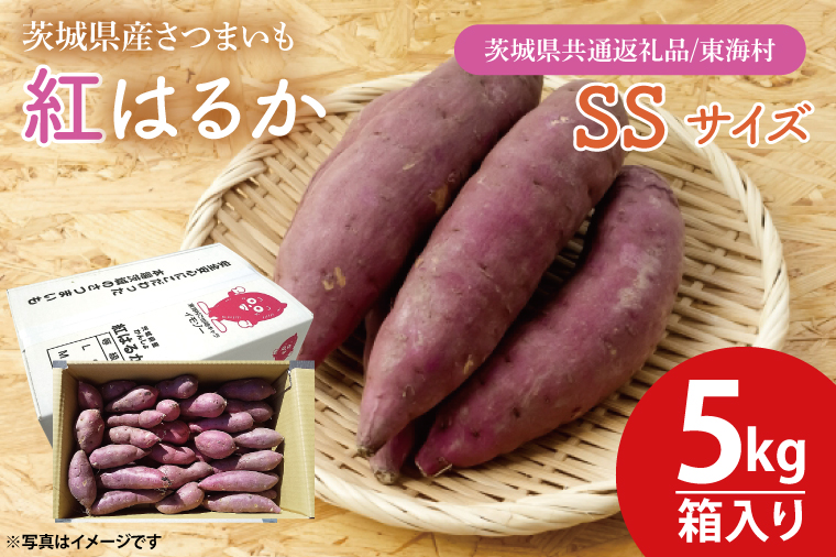 【数量限定】紅はるかSSサイズ5kg箱【茨城県共通返礼品/東海村】【新さつまいも 新芋 さつまいも 芋 いも  焼き芋 焼芋 やきいも 水戸市 茨城県】（KE-13）