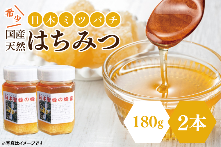 【先行予約】日本ミツバチの国産天然はちみつ 360g（180g×2本）【希少 数量限定 期間限定 ハチミツ 蜂蜜 国産ハチミツ 非加熱 天然 水戸市 茨城県】(KH-2)