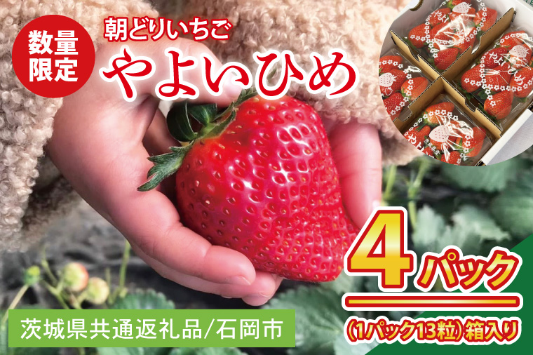 【2026年1月中旬以降発送】【数量限定】【朝採れ】いちご やよいひめ3L 4パック【茨城県共通返礼品／石岡市】【朝どり 果物 くだもの フルーツ 苺 イチゴ 完熟 甘い 農家直送】（KU-3）