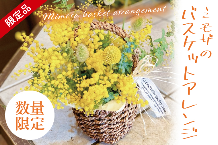 【3月以降発送・数量限定】ミモザのバスケットアレンジ（限定品）【インテリア おしゃれ 壁飾り プレゼント お花 ギフト ナチュラル アレンジ フラワーアレンジ 水戸市 水戸 茨城県 10000円以内 1万円以内】（KW-4）