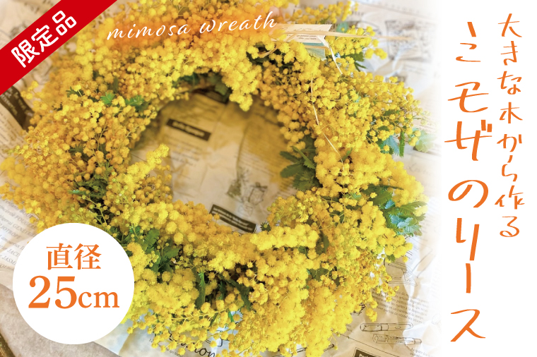 【3月以降発送・数量限定】大きな木から作るミモザのリース（限定品）【インテリア おしゃれ 壁飾り プレゼント お花 ギフト ナチュラル アレンジ フラワーアレンジ 水戸市 水戸 茨城県 10000円以内 1万円以内】（KW-5）