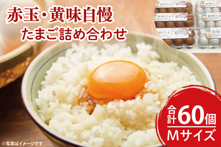 【数量限定】赤玉・黄味自慢 たまご詰め合わせ60個【卵 玉子 タマゴ 新鮮 タンパク質 目玉焼き 茨城県 水戸市】（LB-2）