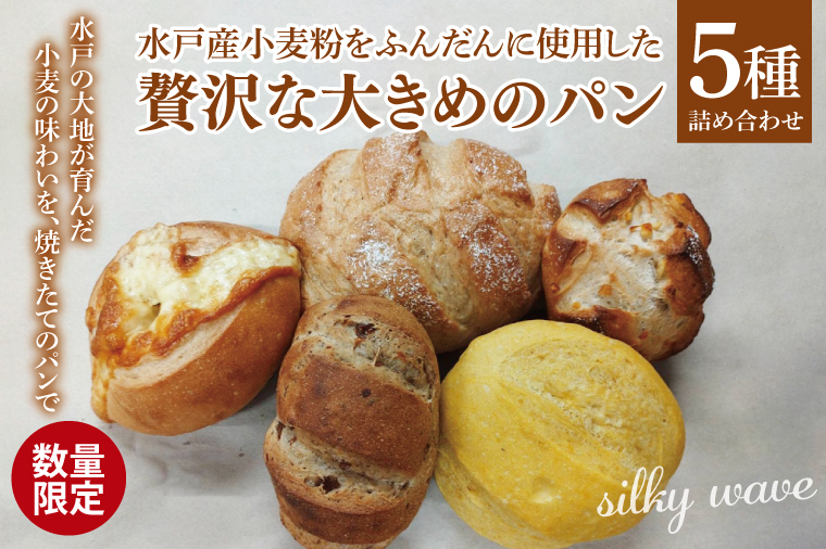 【数量限定】水戸産小麦粉をふんだんに使用した贅沢な大きめのパン５種詰め合わせ【総菜パン 菓子パン 食事パン冷凍 水戸市 茨城県】（ LS-1）