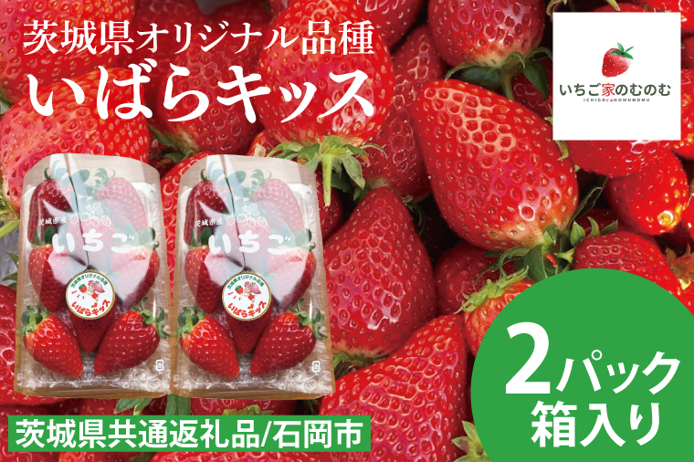 【数量限定】【離島配送不可】いばらキッス 2パック/箱【茨城県共通返礼品/石岡市】【いちご イチゴ 苺 果物 くだもの  フルーツ 茨城県オリジナル品種 茨城県】（LX-1）