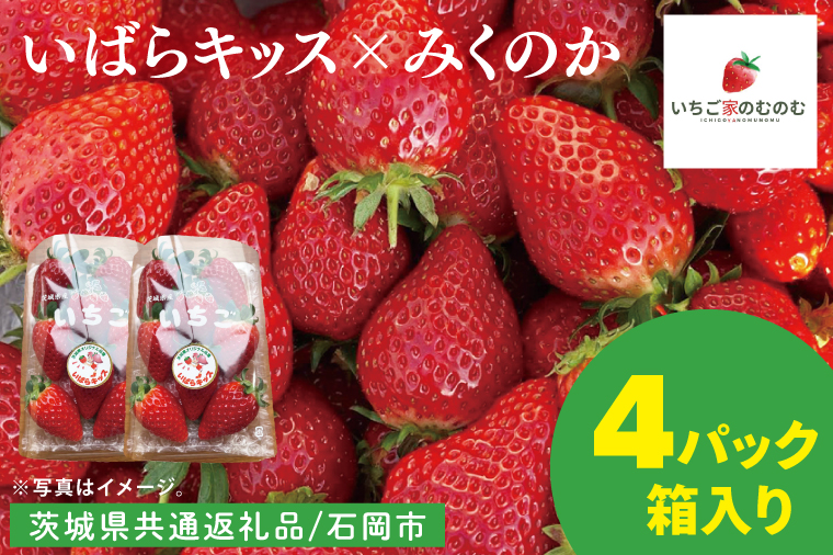 【数量限定】【離島配送不可】いばらキッス×みくのか 4パック/箱【茨城県共通返礼品/石岡市】【いちご イチゴ 苺 果物 くだもの  フルーツ 茨城県】（LX-10）