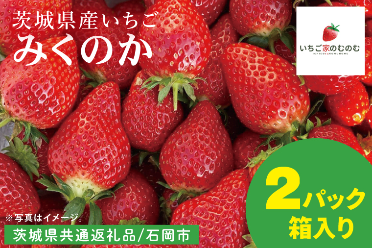 【数量限定】【離島配送不可】みくのか 2パック/箱【茨城県共通返礼品/石岡市】【いちご イチゴ 苺 果物 くだもの  フルーツ 茨城県】（LX-7）