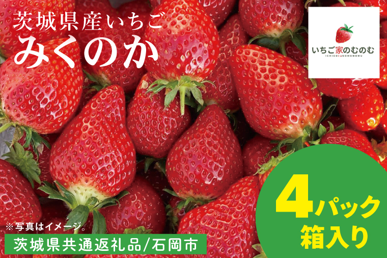 【数量限定】【離島配送不可】みくのか 4パック/箱【茨城県共通返礼品/石岡市】【いちご イチゴ 苺 果物 くだもの  フルーツ 茨城県】（LX-8）