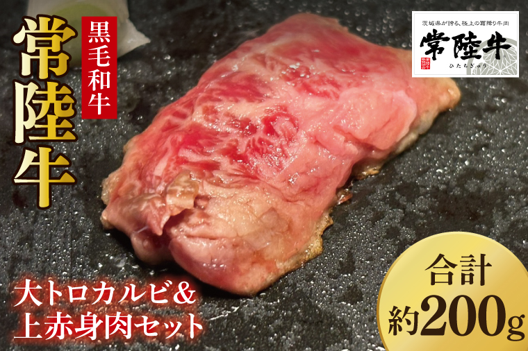 【数量限定】常陸牛 大トロカルビ100g・上赤身肉100g【牛肉 和牛 ブランド牛 常陸牛 パーティ BBQ バーベキュー 水戸市 茨城県】(MJ-1)
