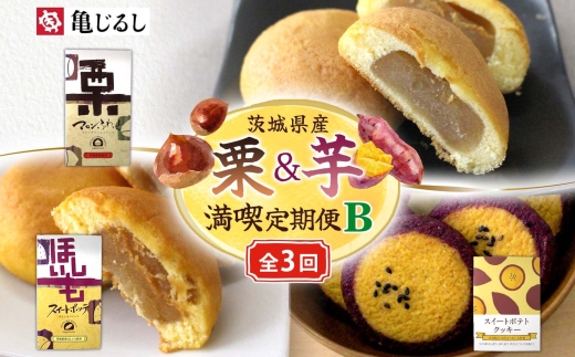 【3ヶ月定期便】亀印製菓 茨城県産栗＆芋満喫定期便B【マロンふわっせ スイートポッテ スイートポテトクッキー 栗 笠間栗 くり 干し芋 さつまいも 紅はるか 和 スイーツ デザート お菓子 おやつ 老舗 お土産 手土産 贈答用 茨城県 水戸市】（MP-36）