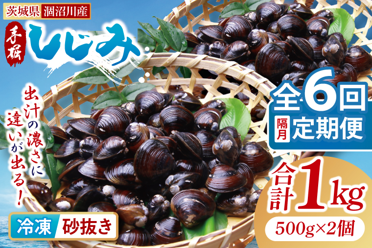 【全6回隔月定期便】茨城県涸沼川産 だしの濃さに違いが出る！手掘しじみ（砂抜き）500g×２個（1kg）【涸沼川 シジミ オルニチン 味噌汁 スープ 茨城県 水戸市】（MS-11）