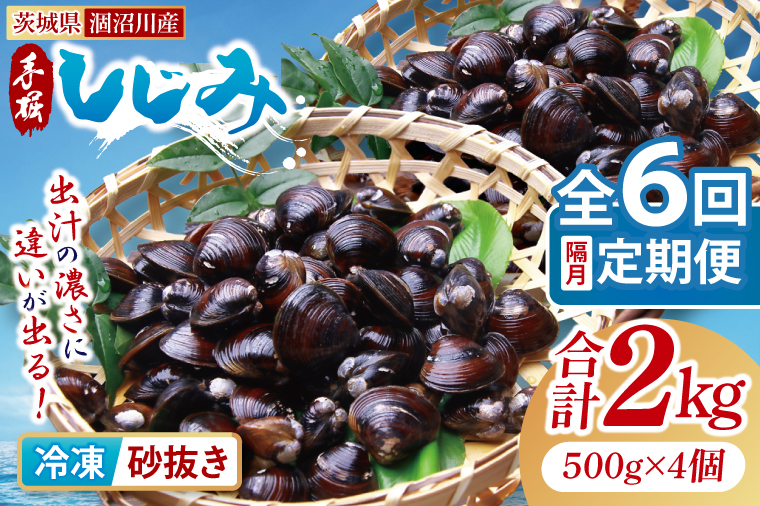 【全6回隔月定期便】茨城県涸沼川産 だしの濃さに違いが出る！手掘しじみ（砂抜き）500g×4個（2kg）【涸沼川 シジミ オルニチン 味噌汁 スープ 茨城県 水戸市】（MS-12）