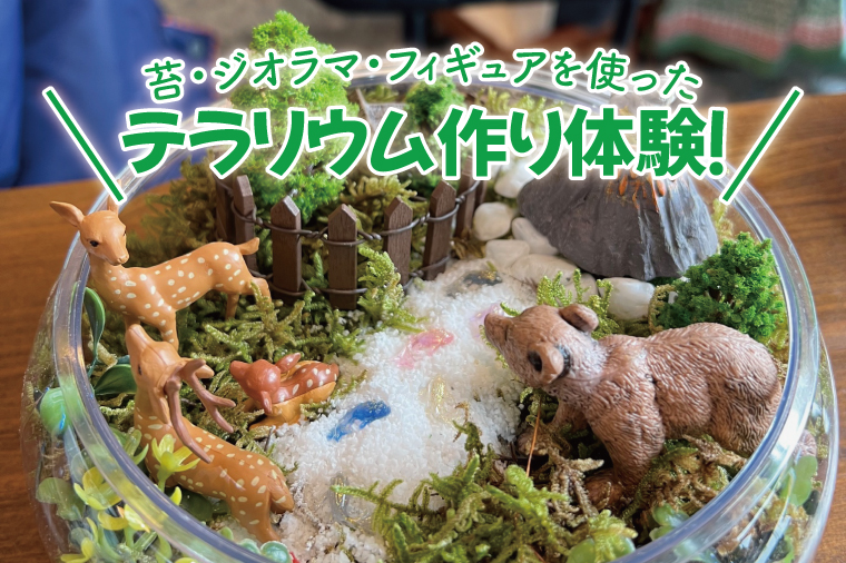 苔（コケ）とジオラマ、フィギュアを使ったテラリウム作り体験！【苔テラリウム ハンドメイド ワークショップ オリジナル 水戸市 茨城県】（MW-1）