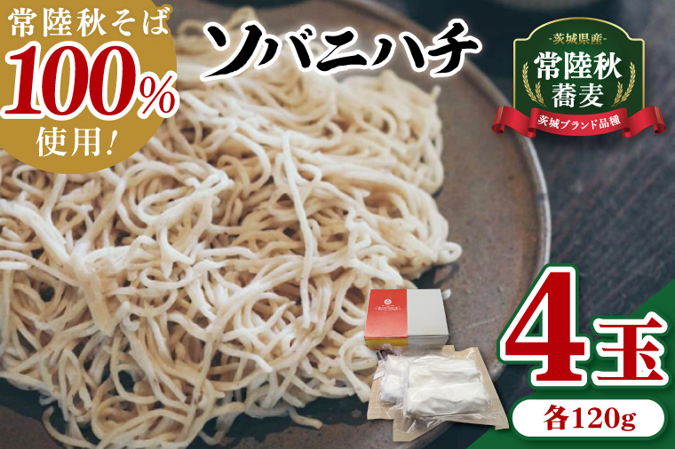 酒趣 ソバニハチ 120g×4玉（茨城県産 常陸秋そば）【蕎麦 そば ソバ 麺 麺類 二八蕎麦 水戸市 茨城県】（NK-1）