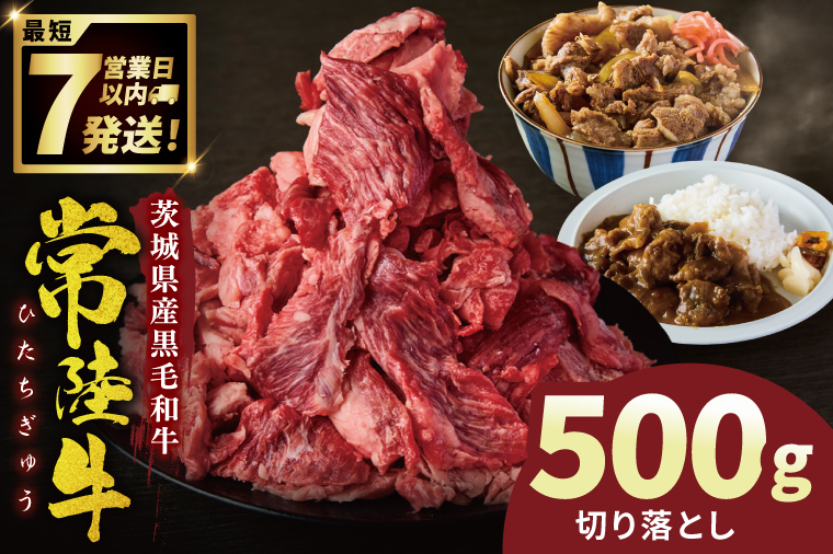 常陸牛切り落とし 500g【常陸牛 国産牛 和牛 牛肉 切り落とし ジューシー 茨城県 水戸市】（NW-5）