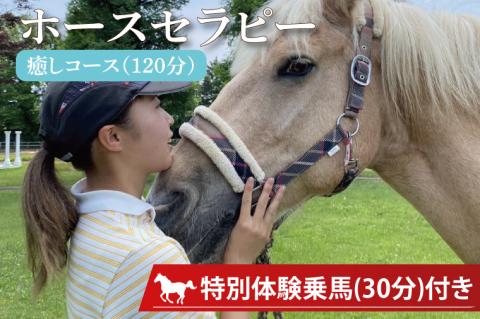 ホースセラピー・癒しコース（120分）【乗馬 馬 ポニー サラブレッド ブラッシング リラクゼーション 水戸市 茨城県】（EY-1）