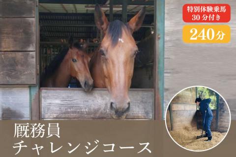 厩務員チャレンジコース（240分）【乗馬 馬 体験 水戸市 茨城県】（EY-2）