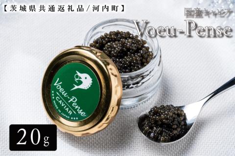 【12月より発送】【数量限定】国産キャビアVoeu-Pense【茨城県共通返礼品/河内町】【国産 キャビア 高級 冷凍 珍味 贈答 手土産 水戸市】（GQ-1）