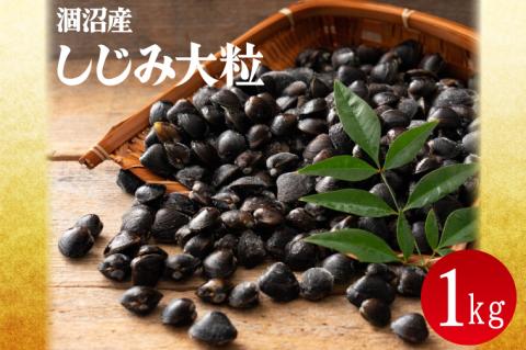 涸沼産 冷凍しじみ 大粒 1kg(200g×5p)（シジミ 大粒しじみ 直接仕入れ 砂抜き済み 砂抜き 小分け包装 味噌汁 みそ汁 茨城県】（CA-1）