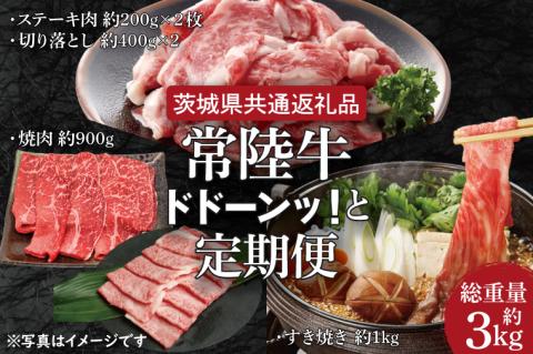 【3ヶ月定期便】常陸牛どどーんっ！と定期便 総重量約３kg超え【茨城県共通返礼品】（HI-8）