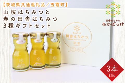 【数量限定】山桜はちみつと春の田舎はちみつの3種ギフトセット　各120g（結蜜Musubi-R3山桜）【茨城県共通返礼品／五霞町】生ハチミツ 非加熱 茨城県産(HO-1)