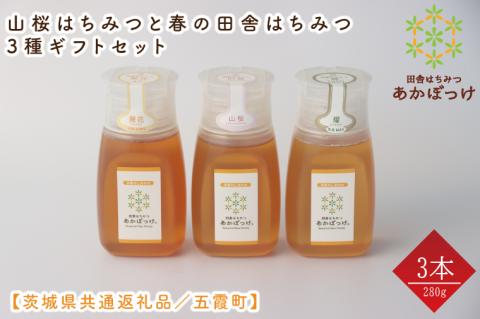【数量限定】山桜はちみつと春の田舎はちみつの3種ギフトセット　各280g（Ｂ3山桜）【茨城県共通返礼品／五霞町】 生ハチミツ 非加熱 茨城県産(HO-2)