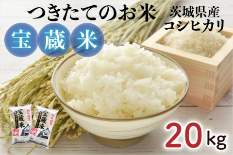 【令和7年産】茨城県産コシヒカリ 宝蔵米 20kg【お米 米 菊池 こしひかり つきたてのお米 食味ランキング特A評価 茨城県 水戸市】（CZ-1008）