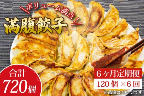 【6ヶ月定期便】リピーター続出！ボリューム満点！満腹餃子120個（３kg ）×6回【老舗 大容量 国産 焼き餃子 冷凍 ぎょうざ ギョーザ 冷凍餃子 簡単調理 惣菜 おかず 水戸市 水戸 茨城県 】（EJ-15）