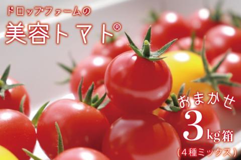 CK-1[7〜10月先行予約]ドロップファームの美容トマトおまかせ3kg箱(4種ミックス)
