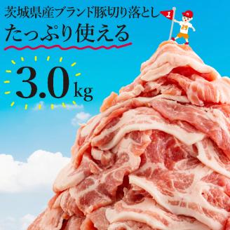 [数量限定]茨城県産ブランド豚切り落とし3kg (300g×10p)[肉 豚肉 切り落とし 小分け 真空 真空パック 茨城県産 肉料理 肩ロース ウデ モモ バラ 水戸市 水戸](EC-101)