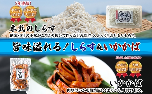 こまつ 受賞セット 本気のしらす 栄養ばくだんふりかけ おにぎりブレンド いかかば 釜揚げ しらす ちりめん いか イカ ふりかけ しらす丼 ご飯のお供 魚 魚介 海の幸 グルメ 人気 ギフト 贈り物 贈答品 小松水産 茨城県 日立市