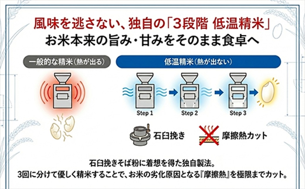 【令和７年産】特選こしひかり　「常陸の恵」１０kg 【 お米 五ツ星 お米マイスター HACCP 取得 低温精米 高品質 ご飯 美味しい米 ブランド米 特産物 あさや米穀 茨城県 日立市 】